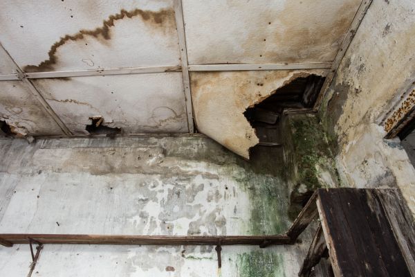 Cost of Water Damage Service in North Richland Hills