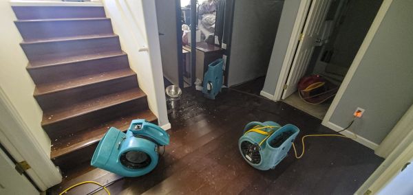 Cost of Water Damage Remediation in North Richland Hills