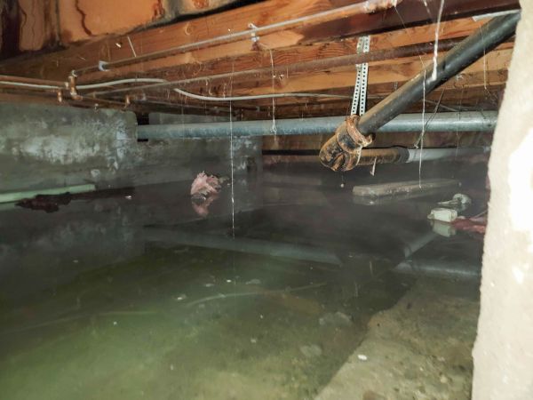 Cost of Water Mitigation Service in North Richland Hills