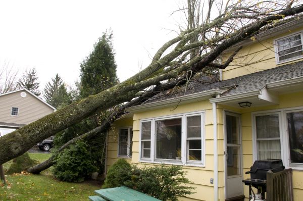 Hurricane Damage Repair in North Richland Hills